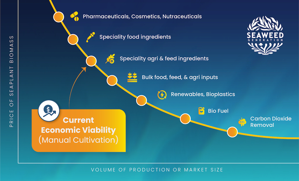Cultivated seaweed cost curve